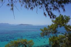 Greece 2022: North coast of N. Aegina  -  06.22  -  Greece